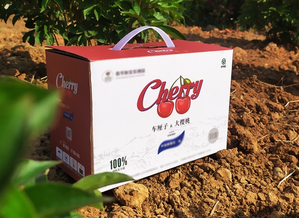 櫻桃、車?yán)遄佣Y盒
